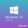 Windows 10 Professional