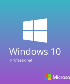 Windows 10 Professional