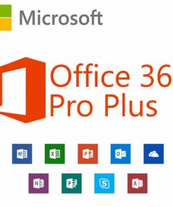 Office 365 Pro Plus Account